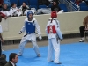idf2009_10