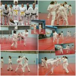 passage de grade 20162017